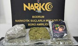 Yolcu otobüsünde 8 kilogram skunk ele geçirildi; 2 tutuklama