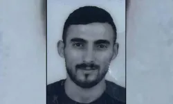 Denizli'de iş cinayeti: Başına odun parçası isabet eden işçi öldü