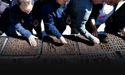 Bornova'da kent bostanları büyüyor... Kadın üretici sayısı artıyor