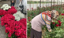 14 Şubat da gül üreticisinin yüzünü güldürmedi