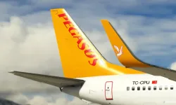 Pegasus, 11 ülkeye seferlerini iptal etti