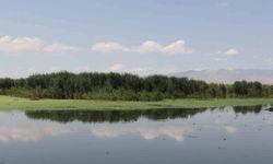 Eber Gölü'nde su seviyesi yükseldi