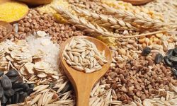 Ege Bölgesi'nin 2025'teki tarım ürünleri ihracatı 7,5 milyar dolara ulaştı