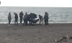 Muğla'da sahilde parçalanmış erkek cesedi bulundu