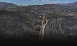 İzmir'de 'yanan yerler imara açıldı' iddiasına resmi açıklama: Süreç daha önce konut ihtiyacından dolayı başladı!