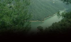 İzmir'deki o barajın kapakları açıldı: Vatandaşlara o bölgeden uzaklaşın uyarısı!