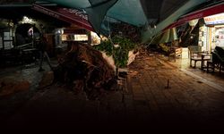 Kemeraltı'nda asırlık çınar, fırtınaya dayanamadı!