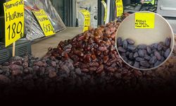 Kilosu cep yakınca çözüm bulundu: Taneyle hurma!