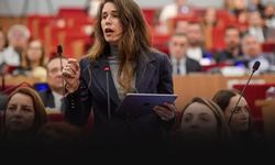 Ünlülere yönelik soruşturmada Lal Denizli ifadeye çağrıldı