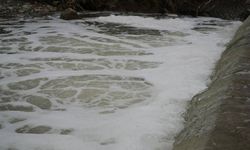 Mahalleli tedirgin: Köpüren dereden ağır kokular yükseliyor