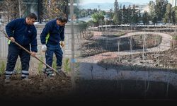 Büyükşehir’den mikroforest hamlesi… Atıl alanlar yeşeriyor!