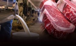 Raflardaki fiyatlar uçtu, Tire Süt Başkanı Öztürk’ten çağrı geldi: Süt-yem ve et zamları birlikte belirlensin