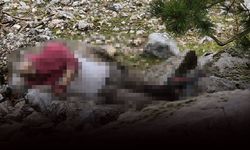 Uçurumdaki gizemli ölümün ardındaki korkunç plan çözüldü