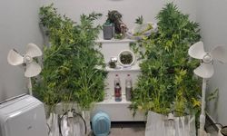 Zehir yetiştirdiği evde yakalandı!