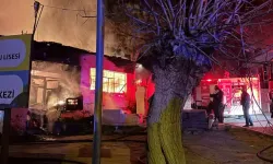 Aydın'da müstakil evde çıkan yangın söndürüldü