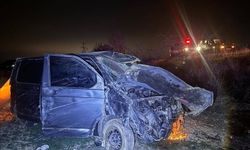 Afyonkarahisar'da kamyonet ağaca çarptı, 4 kişi yaralandı