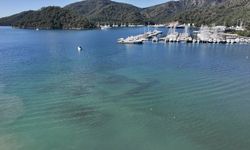 Muğla'da deniz dibindeki tarih koruma altına alındı