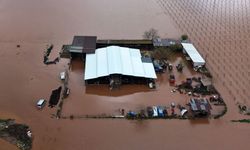 Gediz Nehri taştı: Manisa'da tarım arazileri su altında kaldı