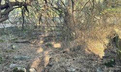 2 asırlık adak taşı ortadan kayboldu