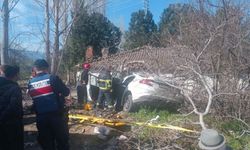 Kontrolden çıkan otomobil ağaçlara çarptı: 2 ölü, 1 yaralı!