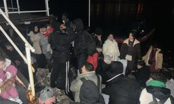 Bodrum'da 33 kaçak göçmen yakalandı