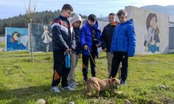 Büyükşehir'den “Satın alma, sahiplen” çağrısı: 2 bin 300 patili yuva bekliyor