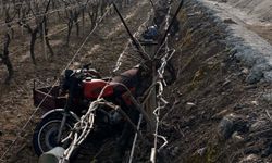 Sepetli motosiklet üzüm bağına devrildi: 1 ölü