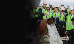 Avrupa'nın en büyük sera kümelenmesi Dikili'de yükseliyor