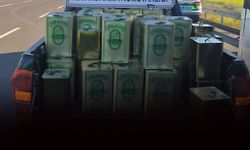 Aydın'da 942 litre sahte zeytinyağı ele geçirildi: Piyasa değeri 1 milyon 450 bin TL