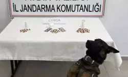 Aydın'da uyuşturucu operasyonu: 10 tutuklama