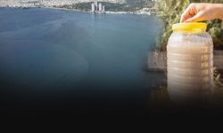 Gediz Nehrinden alarm: Körfez ve tarım tehdit altında
