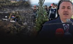 İzmir’de yanan bölgeler küllerinden yeniden doğuyor... Elban: Yüzde 80’in üzerinde ağaçlandırıldı!