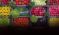 Ege Yaş Meyve Sebze İhracatçıları Birliği Başkanı Uçak: Savaşın ihracatımıza etkisi şimdilik yok!