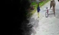 Evinin önünde oynayan çocuğa eşek saldırdı: O anlar kamerada