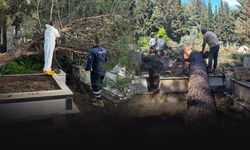 Fırtına İzmir’de mezarlıkları vurdu: Belediye ekipleri sahada!