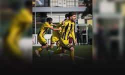 Aliağa FK seriyi sürdürme peşinde