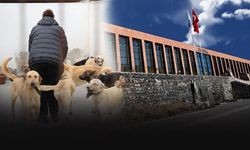 Foça'da çocuğa saldıran köpek sonrası tartışma: Ekiplerin çalışması engellendi