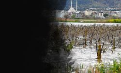 Gediz Nehri ikinci kez taştı: Üzümde büyük tehlike!
