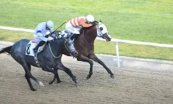 İzmir'de 64'üncü Ege Derbisi'nin kazananı The Protecter