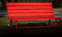 İzmir’den şiddete karşı güçlü mesaj: Kırmızı bank