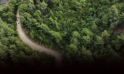 İzmir’in ormanları bakanlık kararıyla yapılaşmaya açıldı