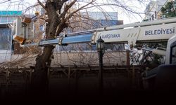 Karşıyaka'da bahara hazırlık: Budama seferberliği