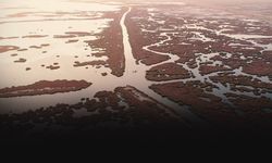 Gediz Nehri’ndeki kirleticiler İzmir Körfezi’ni tehdit ediyor... İzleme çalışmaları sürüyor