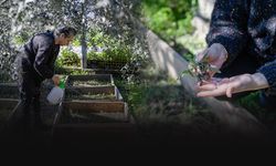 Eğitimle başlayan yolculuk: Kursiyer artık üretici!