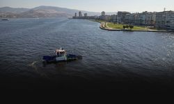 Temiz körfez için yeni formül: Uzmanlar midye ve Deniz hıyarını öneriyor