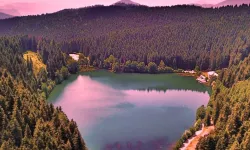 Milli parklara yönelik düzenlemeler içeren kanun Resmi Gazete'de