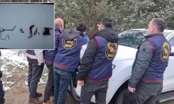 Ormanda bulunan kafatası ve kemikler 2 kadına ait çıktı!