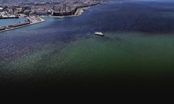 Sağlıklı Körfez için kritik toplantı... Hükümet politikaları nedeniyle kirleniyor!