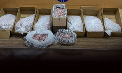 'Torbacılara' dağıtılacaktı, Narkotik engel oldu: Yüzbinlerce hap ele geçirildi!