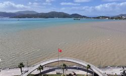 Muğla'da şaşırtan manzara: Denizin rengi değişti!